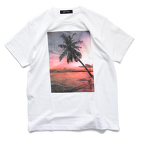 YF SHOOT SUNSET PALMTREE TEE / MCS-S20SP16